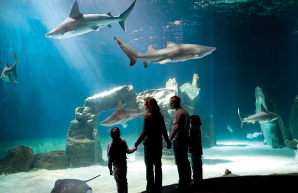 acquario di roma